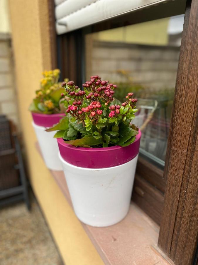 Fewo Dana Apartment Некарщайнах Екстериор снимка